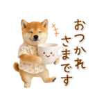飛び出す！柴犬の日常スタンプ（個別スタンプ：11）