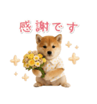 飛び出す！柴犬の日常スタンプ（個別スタンプ：14）