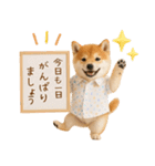 飛び出す！柴犬の日常スタンプ（個別スタンプ：19）