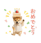 飛び出す！柴犬の日常スタンプ（個別スタンプ：22）