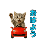 ちびのり★にゃんこの大冒険（個別スタンプ：1）
