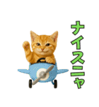 ちびのり★にゃんこの大冒険（個別スタンプ：8）