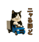 ちびのり★にゃんこの大冒険（個別スタンプ：10）