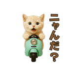 ちびのり★にゃんこの大冒険（個別スタンプ：13）