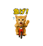 ちびのり★にゃんこの大冒険（個別スタンプ：18）