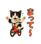 ちびのり★にゃんこの大冒険（個別スタンプ：19）