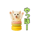 ちびのり★にゃんこの大冒険（個別スタンプ：25）