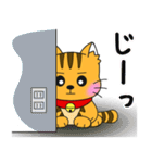 うちの茶トラ！（個別スタンプ：4）