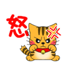 うちの茶トラ！（個別スタンプ：5）