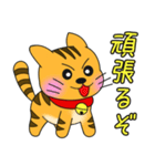 うちの茶トラ！（個別スタンプ：8）