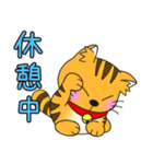 うちの茶トラ！（個別スタンプ：10）