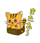うちの茶トラ！（個別スタンプ：11）