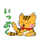 うちの茶トラ！（個別スタンプ：12）