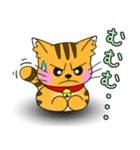うちの茶トラ！（個別スタンプ：14）