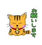うちの茶トラ！（個別スタンプ：15）