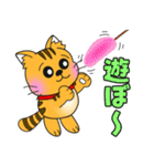 うちの茶トラ！（個別スタンプ：17）