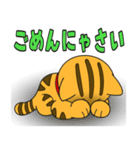 うちの茶トラ！（個別スタンプ：21）