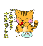 うちの茶トラ！（個別スタンプ：29）