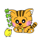 うちの茶トラ！（個別スタンプ：31）