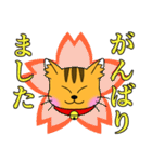 うちの茶トラ！（個別スタンプ：36）