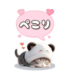パンダ帽が可愛い猫 気軽に毎日使えるBIG（個別スタンプ：7）