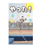 パンダ帽が可愛い猫 気軽に毎日使えるBIG（個別スタンプ：16）