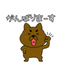 【毎日使える】まろわんこ19（個別スタンプ：13）