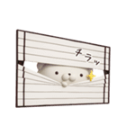 いぬまっしぐら5 超日常編 3D（個別スタンプ：24）