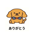 うちのわんさん（♂）（個別スタンプ：1）