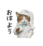 三毛猫の謎すぎる日常スタンプ（個別スタンプ：1）