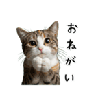 三毛猫の謎すぎる日常スタンプ（個別スタンプ：2）