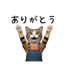 三毛猫の謎すぎる日常スタンプ（個別スタンプ：3）