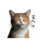 三毛猫の謎すぎる日常スタンプ（個別スタンプ：4）