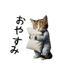 三毛猫の謎すぎる日常スタンプ（個別スタンプ：5）