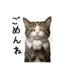 三毛猫の謎すぎる日常スタンプ（個別スタンプ：10）
