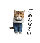 三毛猫の謎すぎる日常スタンプ（個別スタンプ：11）