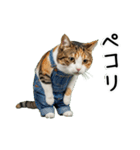 三毛猫の謎すぎる日常スタンプ（個別スタンプ：15）