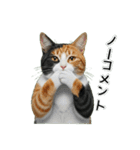三毛猫の謎すぎる日常スタンプ（個別スタンプ：16）