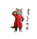 三毛猫の謎すぎる日常スタンプ（個別スタンプ：25）