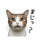 三毛猫の謎すぎる日常スタンプ（個別スタンプ：26）