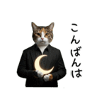 三毛猫の謎すぎる日常スタンプ（個別スタンプ：27）