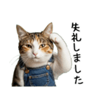 三毛猫の謎すぎる日常スタンプ（個別スタンプ：30）