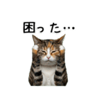 三毛猫の謎すぎる日常スタンプ（個別スタンプ：32）