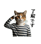 三毛猫の謎すぎる日常スタンプ（個別スタンプ：36）