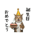 三毛猫の謎すぎる日常スタンプ（個別スタンプ：38）