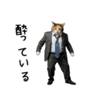 三毛猫の謎すぎる日常スタンプ（個別スタンプ：40）