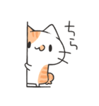 家族にお届けにゃんこスタンプ2（個別スタンプ：1）