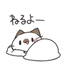 家族にお届けにゃんこスタンプ2（個別スタンプ：3）
