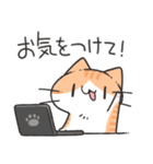 家族にお届けにゃんこスタンプ2（個別スタンプ：16）