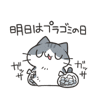 家族にお届けにゃんこスタンプ2（個別スタンプ：30）
